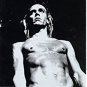 we will fall - iggy pop tribute by various artists CD 1997 royalty 20 tracks used