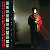 peter apfelbaum and the hieroglyphics ensemble - sings of life CD 1991 island used mint