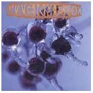 smackmelon - smackmelon CD 1994 cherrydisc used mint