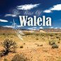 walela - best of walela CD 2007 triloka sheridan square 14 tracks used mint