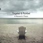 tingstad & rumbel - a moment's peace CD 2005 cheshire 10 tracks used
