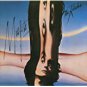 kinks - misfits CD 1998 konk velvel 14 tracks used like new