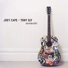 joey cape + tony sly - acoustic CD 2004 fat wreck 12 tracks used like new