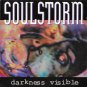 soulstorm - darkness visible CD 1992 metal blade epidemic used like new