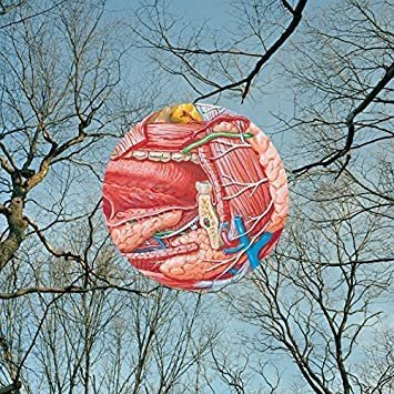 they might be giants - glean CD 2015 idlewild 15 tracks new