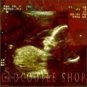 crocodile shop - beneath CD 1996 metropolis met018 used like new