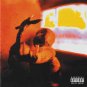 down the sun - downthesun CD 2002 roadrunner used mint barcode punched