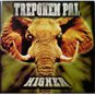 treponem pal - higher CD 1997 mercury france used like new