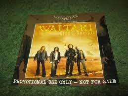 waltari - blood sample CD promo 2007 locomotive 17 tracks used like new LM464