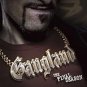 gangland: the final season DVD 4-discs 2010 A&E history channel 10 hours 58 minutes used AAAE252830