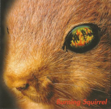 burning squirrel - burning squirrel CD 2000 8 tracks used like new SR100-2