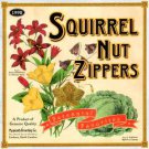 squirrel nut zippers - perennial favorites CD 1998 mammoth 12 tracks like new squirrel nut zippers - perennial favorites CD 1998 mammoth 12 tracks like new