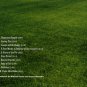 randy newman - hartps and angels CD 2008 nonesuch 10 tracks used like new 122812-2