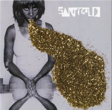 santigold - santigold CD 2008 downtown lizard king 12 tracks used like new DWT70034