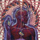 tool - lateralus CD 2003 volcano used like new tool - lateralus CD 2003 volcano used like new