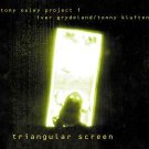 tony oxley project 1 - triangular screen CD digipak 2000 sofa like new SOFA 501