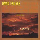 david friesen - amber skies CD 1993 quicksilver 7 tracks like new QSCD-4005