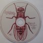 golden smog - weird tales CD 1998 rykodisc BMG Direct 15 tracks used like new RCD 10446