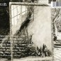 chris robinson brotherhood - anyway you love we know how you feel CD 2016 silver arrow new SAR16