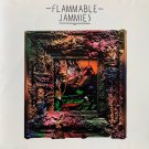 flammable jammies - flammable jammies CD 1993 flam jam 11 tracks like new FJ01