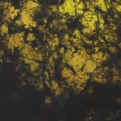 jason bivins / ian davis - benthic CD 2003 family vineyard 10 tracks new factory-sealed FV20
