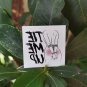 10Pcs Tie me up - Cuckold Fake Adult Temporary Tattoo Kinky Sexy Adult BDSM