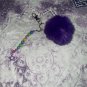 Plushy Puff Keychain