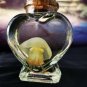 Real Red Moon Jellyfish in Heart Bottle | Preserved Marine Specimen Oddities