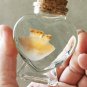 Real Red Moon Jellyfish in Heart Bottle | Preserved Marine Specimen Oddities