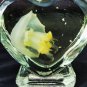 Real Red Moon Jellyfish in Heart Bottle | Preserved Marine Specimen Oddities