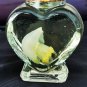 Real Red Moon Jellyfish in Heart Bottle | Preserved Marine Specimen Oddities