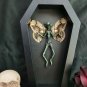 Coffin Display Mummified Fairy Real Brahmaea Hearseyi Wings | Gothic Oddity Art