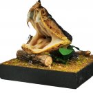 Real Snake Head in Glass Dome – Five-Step Viper Taxidermy Oddity Decor Specimen