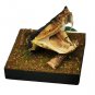 Real Snake Head in Glass Dome â Five-Step Viper Taxidermy Oddity Decor Specimen