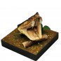 Real Snake Head in Glass Dome â Five-Step Viper Taxidermy Oddity Decor Specimen