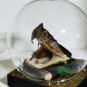 Real Snake Head in Glass Dome â Five-Step Viper Taxidermy Oddity Decor Specimen