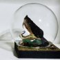 Real Snake Head in Glass Dome â Five-Step Viper Taxidermy Oddity Decor Specimen