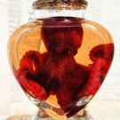 Mini Preserved Red Octopus in Heart Jar – Ethical Marine Specimen Decor