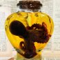 Mini Preserved Red Octopus in Heart Jar &acirc;�� Ethical Marine Specimen Decor