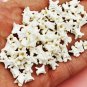20 Real Rattlesnake Vertebrae Beads – Bone Jewelry Supplies for Gothic Crafts