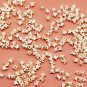 20 Real Rattlesnake Vertebrae Beads – Bone Jewelry Supplies for Gothic Crafts