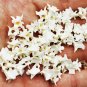 20 Real Rattlesnake Vertebrae Beads – Bone Jewelry Supplies for Gothic Crafts