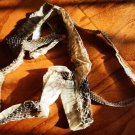 Natural Python Skin 200cm – Real Snake Shed for Crafts, Decor & Spiritual Use