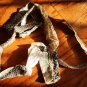 Natural Python Skin 200cm – Real Snake Shed for Crafts, Decor & Spiritual Use