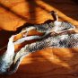 Natural Python Skin 200cm – Real Snake Shed for Crafts, Decor & Spiritual Use