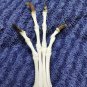 Real Fox Paw Bone – Taxidermy Specimen for Altar, Oddity, Crafts, Art, & Display