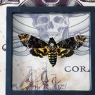 Framed Death’s-Head Hawkmoth – Gothic Insect Display | Taxidermy Oddities Gift