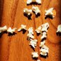 25 Real Mink Vertebrae Bones &acirc;�� Bleached Jewelry Beads Taxidermy Specimens