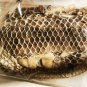 Natural Python Skin 150cm &acirc;�� Real Snake Shed for Crafts, Decor & Spiritual Use