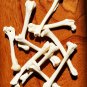 10 Real Mink Leg Bones – Cleaned Bleached Specimen Jewelry Making, Altar, Crafts